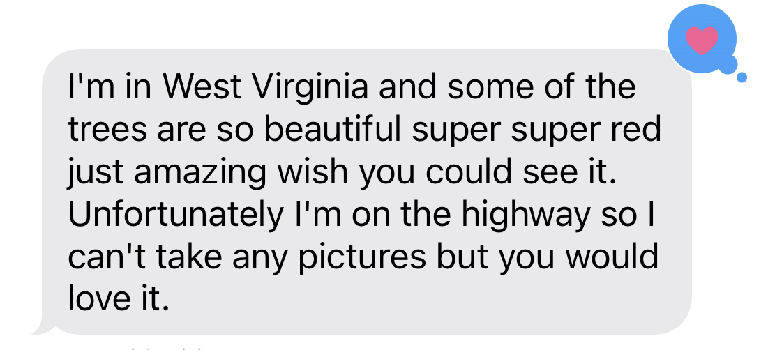 screenshot of mom's text to me